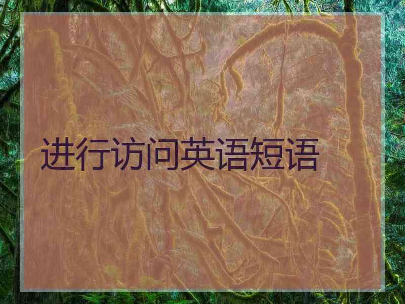 进行访问英语短语