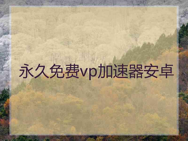 永久免费vp加速器安卓