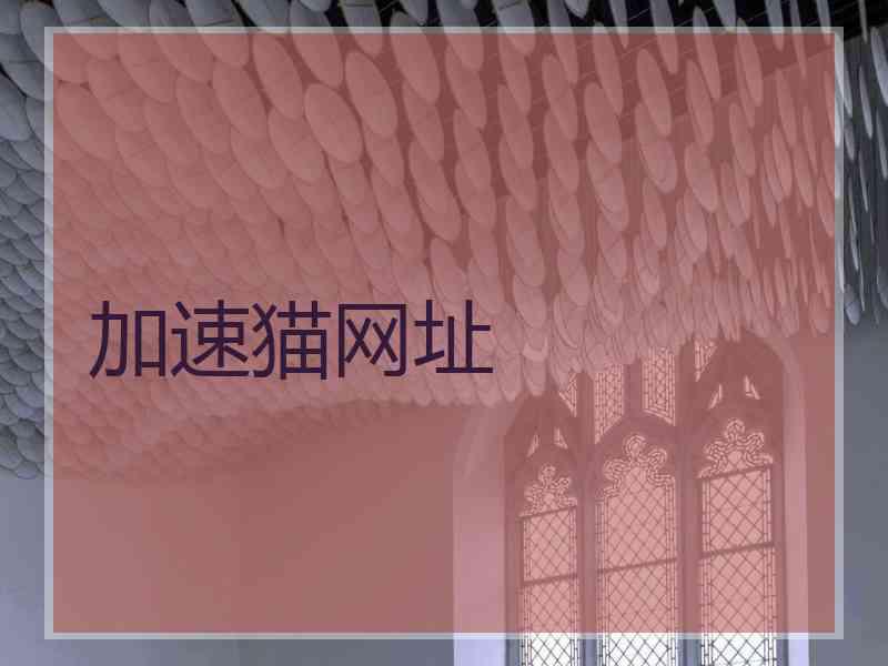 加速猫网址