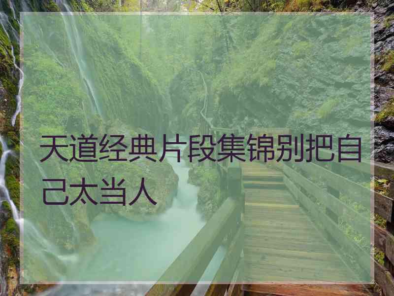 天道经典片段集锦别把自己太当人
