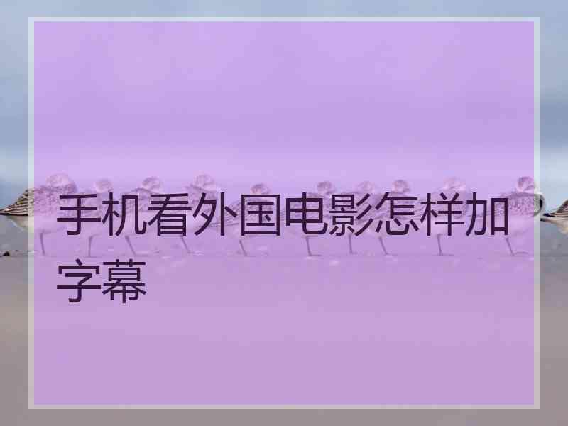 手机看外国电影怎样加字幕