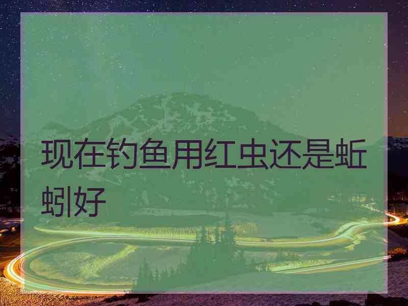 现在钓鱼用红虫还是蚯蚓好