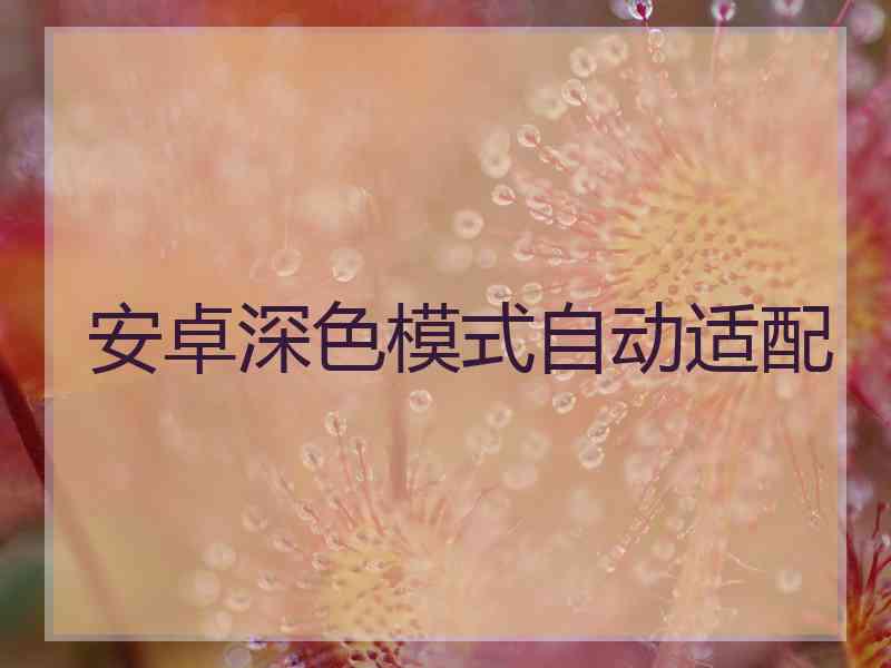 安卓深色模式自动适配