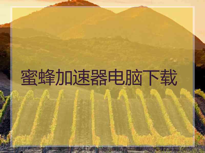 蜜蜂加速器电脑下载