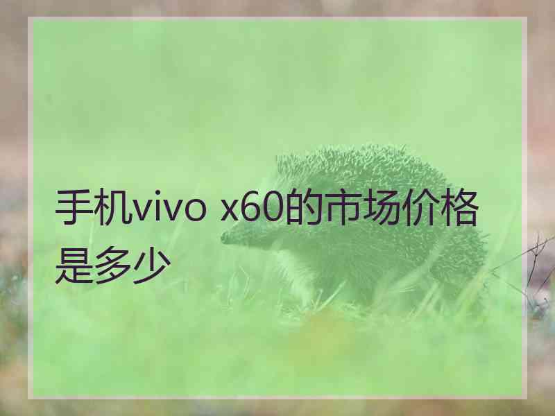 手机vivo x60的市场价格是多少