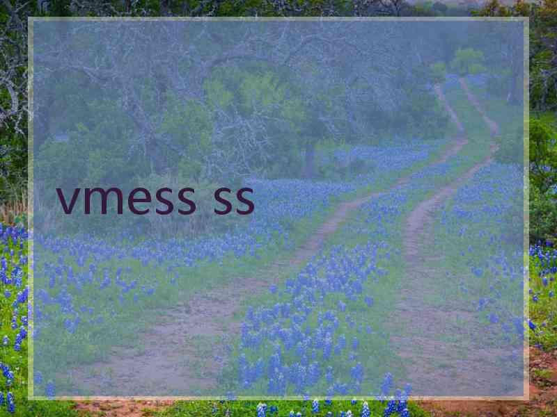 vmess ss