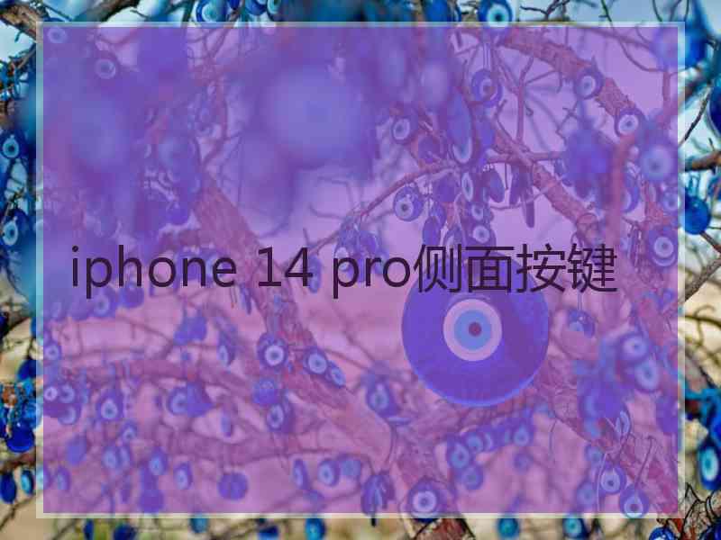 iphone 14 pro侧面按键