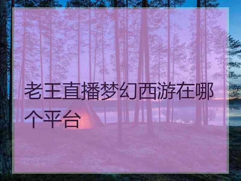 老王直播梦幻西游在哪个平台