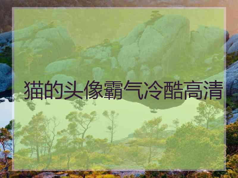 猫的头像霸气冷酷高清