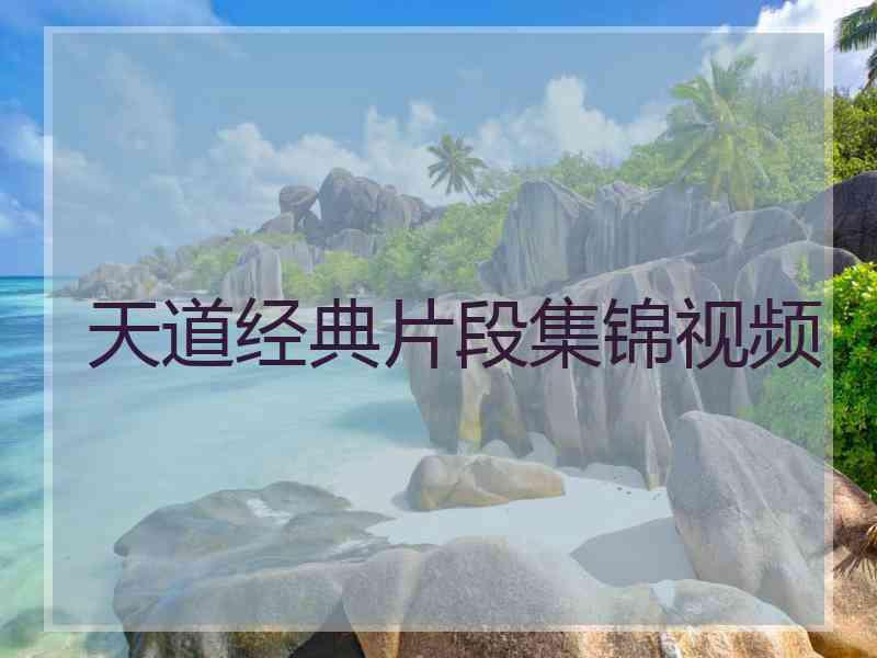 天道经典片段集锦视频