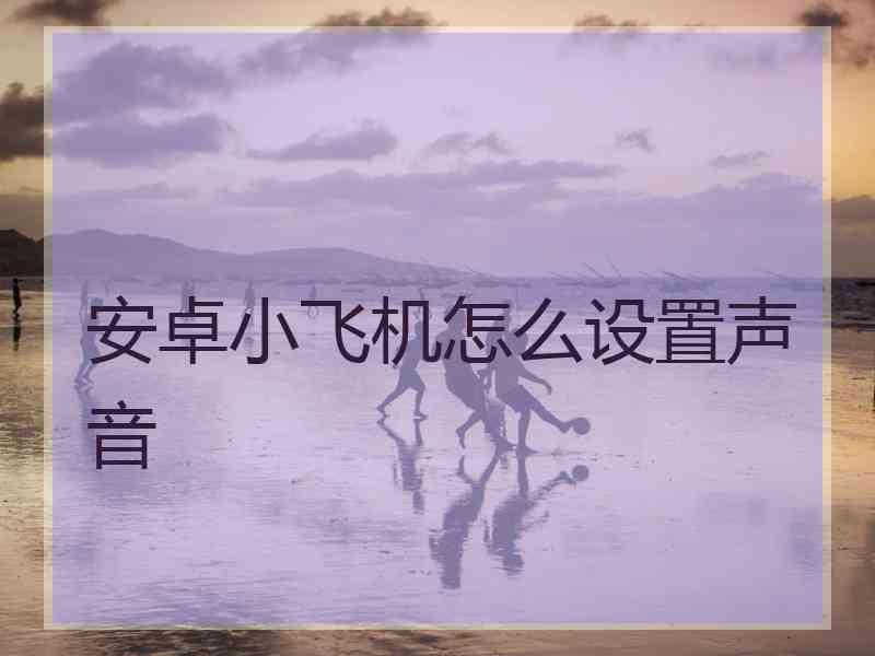 安卓小飞机怎么设置声音