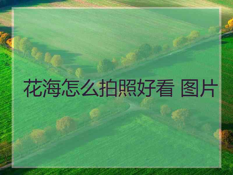 花海怎么拍照好看 图片