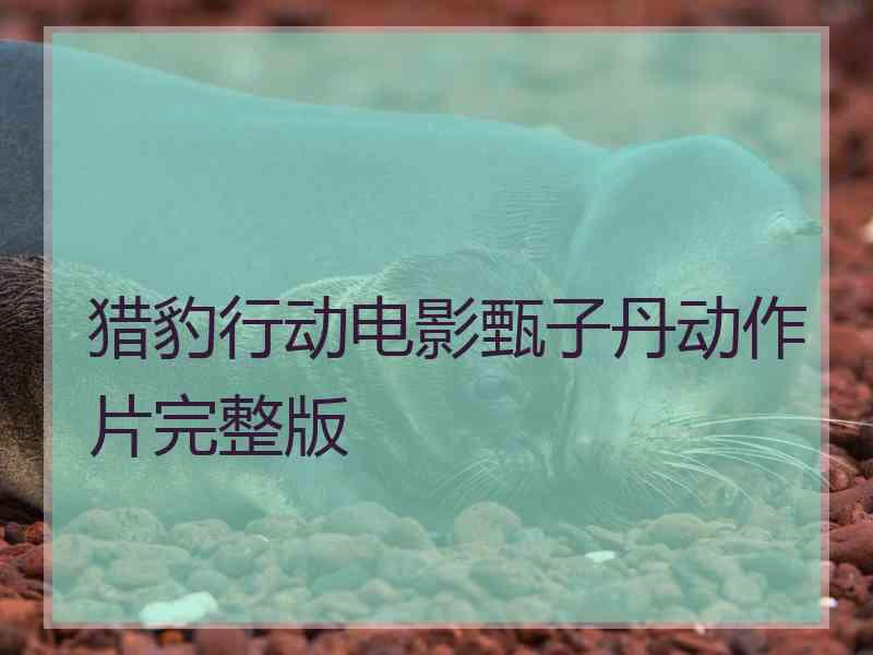 猎豹行动电影甄子丹动作片完整版