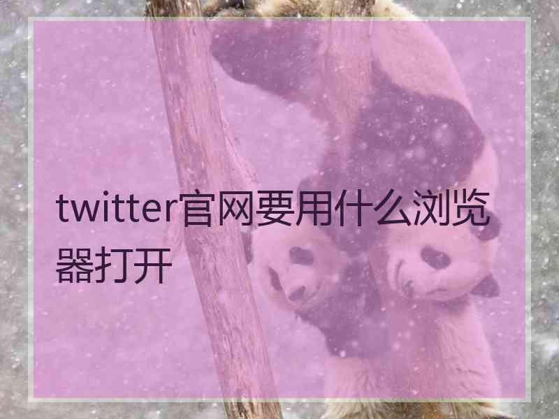 twitter官网要用什么浏览器打开