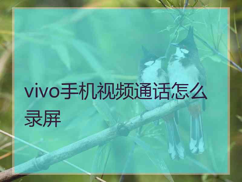 vivo手机视频通话怎么录屏