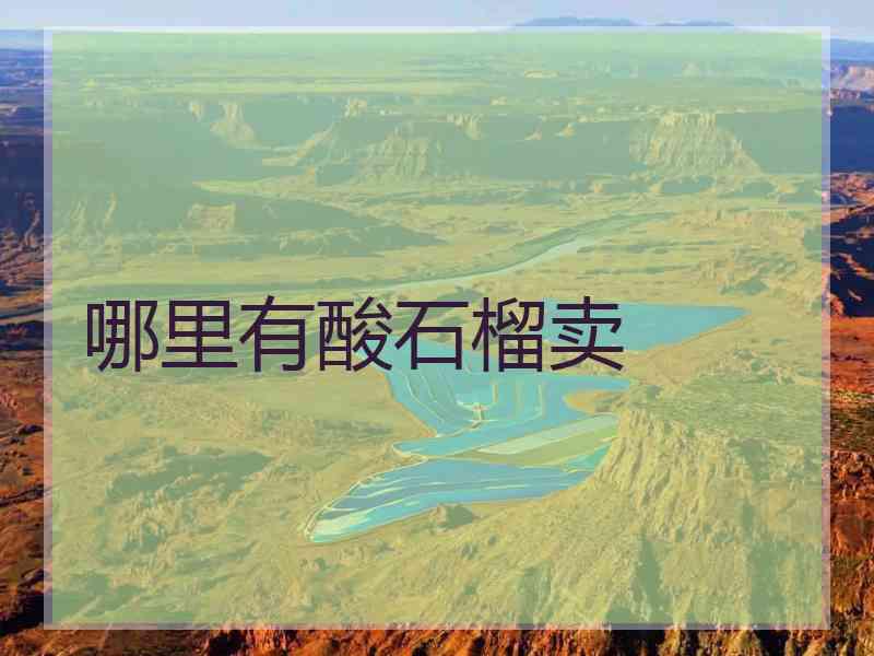 哪里有酸石榴卖