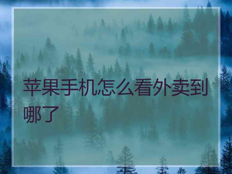 苹果手机怎么看外卖到哪了
