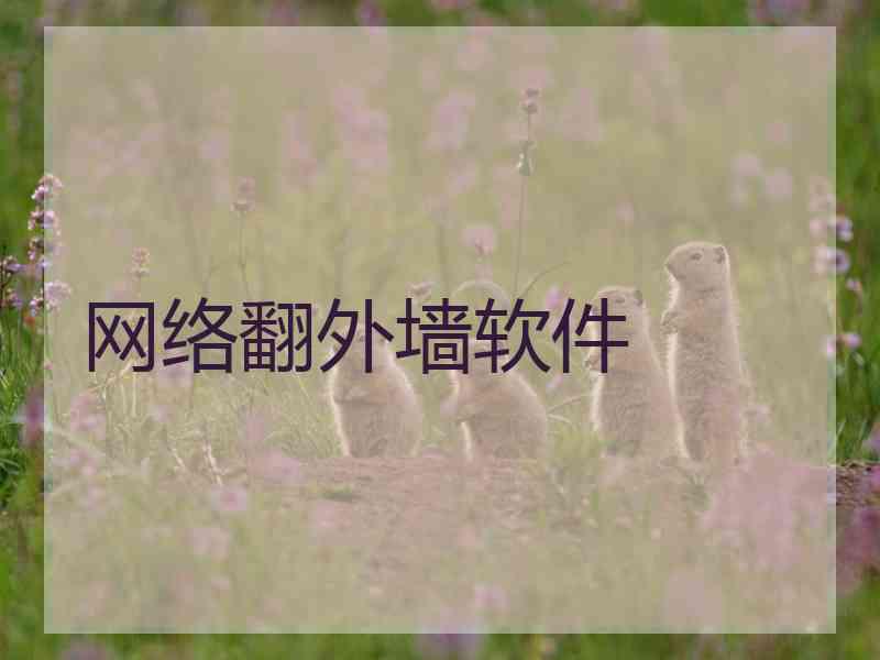 网络翻外墙软件