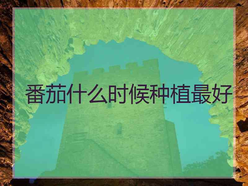 番茄什么时候种植最好