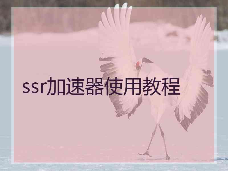 ssr加速器使用教程