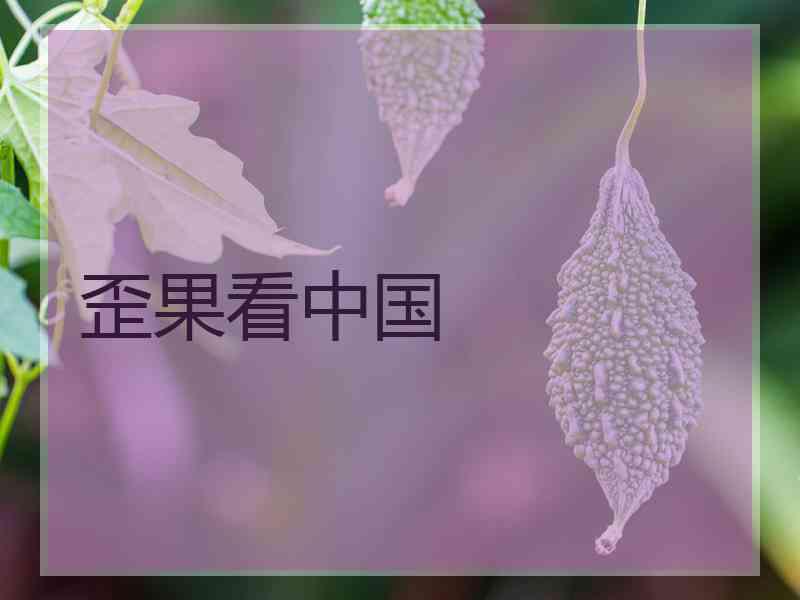 歪果看中国