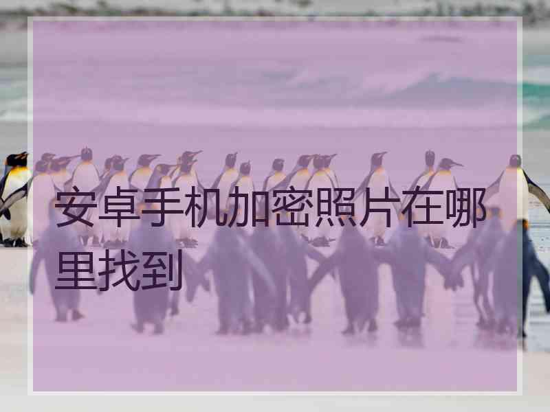 安卓手机加密照片在哪里找到