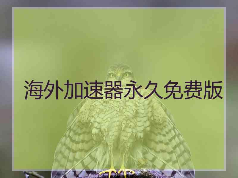 海外加速器永久免费版