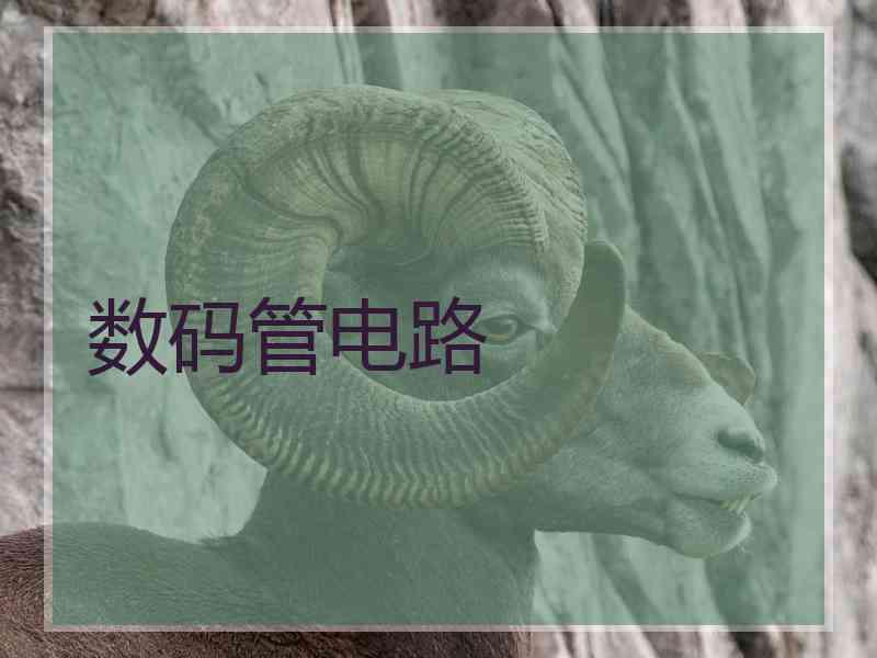 数码管电路
