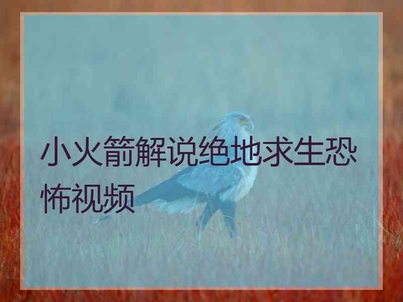 小火箭解说绝地求生恐怖视频