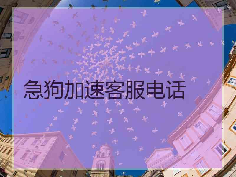 急狗加速客服电话