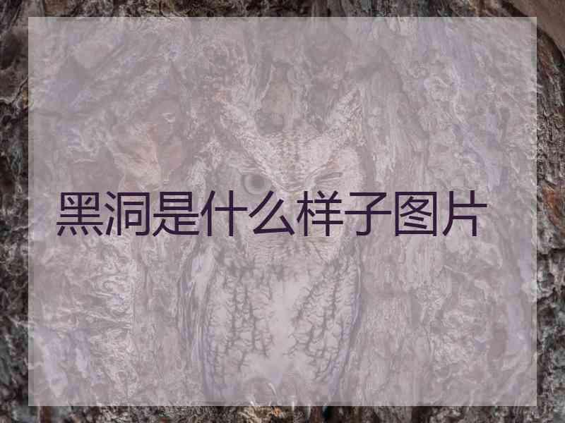 黑洞是什么样子图片