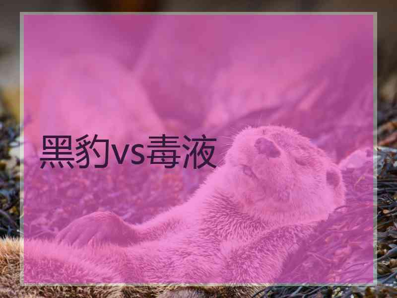 黑豹vs毒液