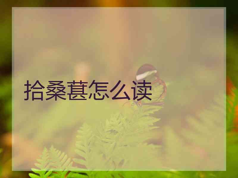 拾桑葚怎么读