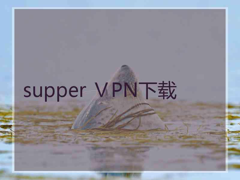 supper ⅤPN下载
