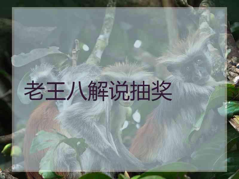 老王八解说抽奖