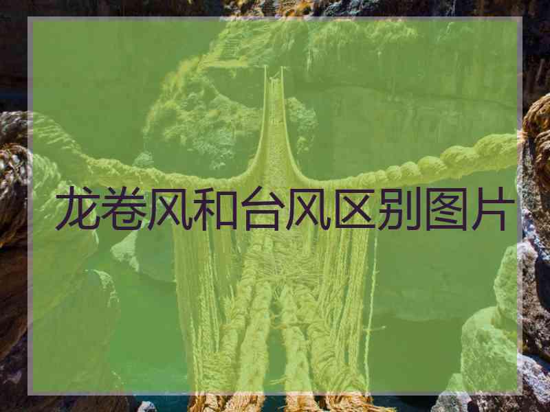 龙卷风和台风区别图片