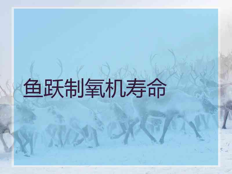 鱼跃制氧机寿命