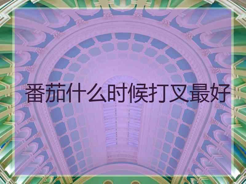 番茄什么时候打叉最好