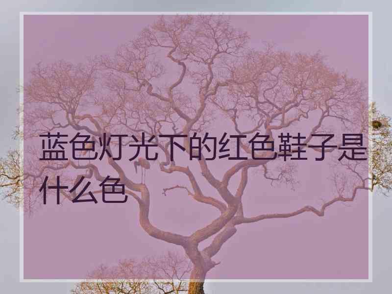 蓝色灯光下的红色鞋子是什么色