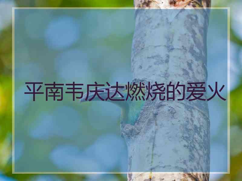 平南韦庆达燃烧的爱火