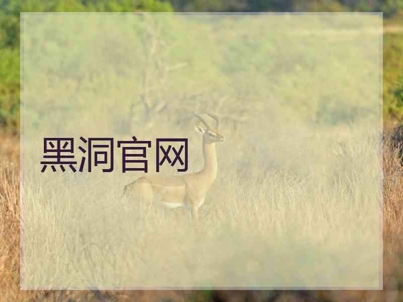 黑洞官网