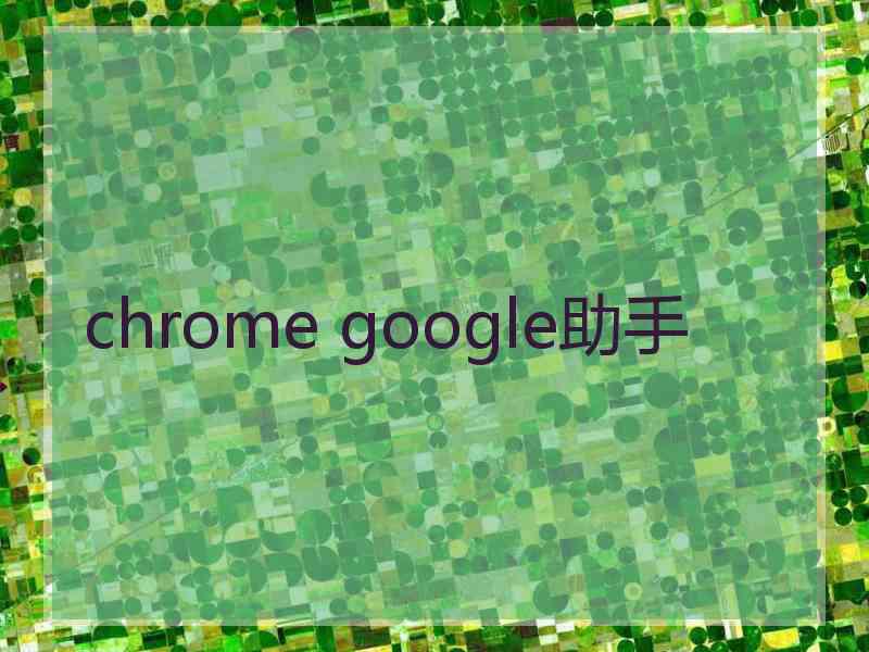 chrome google助手