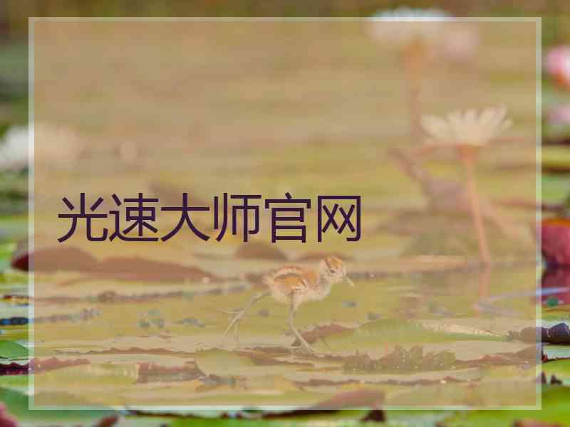 光速大师官网