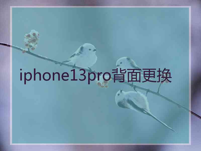 iphone13pro背面更换