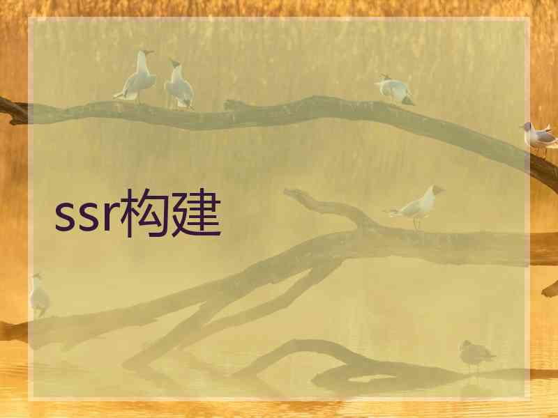 ssr构建