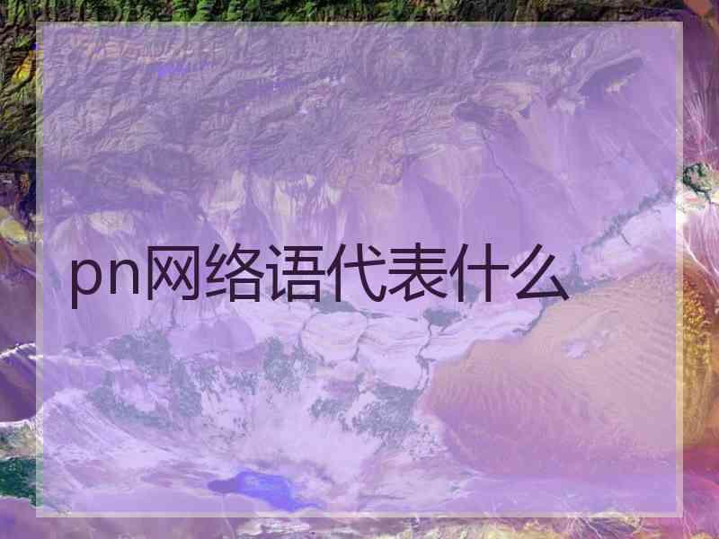 pn网络语代表什么
