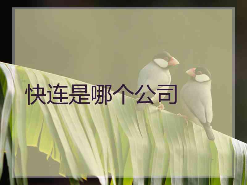 快连是哪个公司