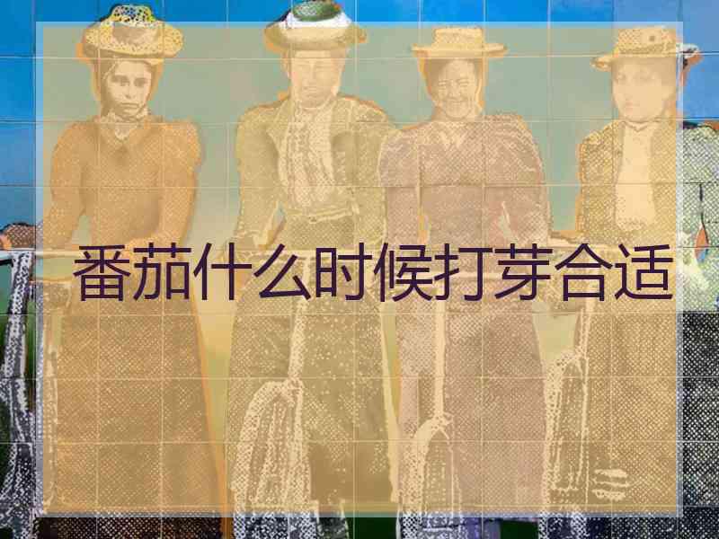 番茄什么时候打芽合适