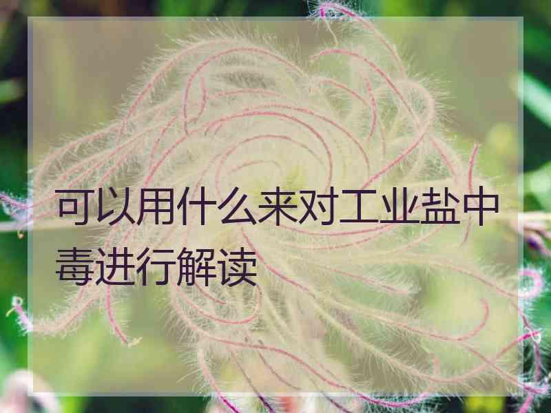 可以用什么来对工业盐中毒进行解读