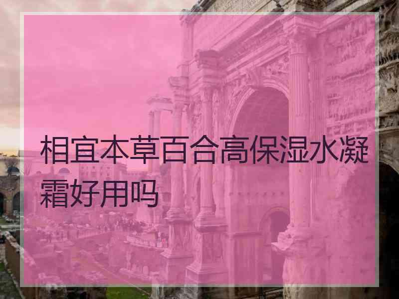 相宜本草百合高保湿水凝霜好用吗